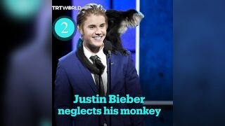 Celebrities and their alleged animal mistreatment