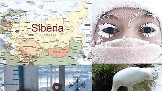 India Welcome Guest From Siberia Russia Travel 5000 KM Siberian Birds Enjoying In India  ???? ???? ????