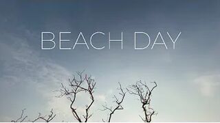Cinematic beach day | Shot on iPhone | #kochigram #pitbullswiming #pitbullsofinstagram #iphone11