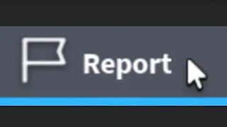 Reporting On Roblox Be Like...