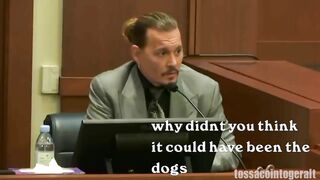 johnny depp being a COMEDIAN in court (funny moments)