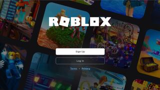 8 year old me playing roblox ????