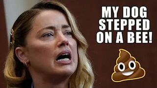 Amber Heard "My Dog Stepped on a Bee!" - Ultimate Compilation
