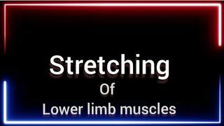 stretching of lower limb muscle|| part 1 || discussion with student || physio gainer