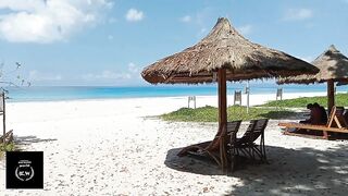 The Most Beautiful Beach|Havlock|Radha nagar beach|The best beach|world's largest beach|Andaman