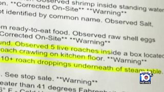 Dead rodent, roaches among issues found at North Miami Beach restaurant