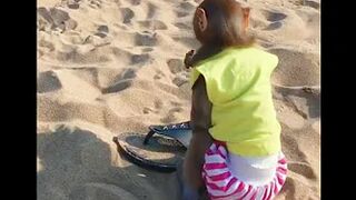 The monkey who goes to the beach to play for the first time is so excited