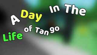 a day in the life of tangomangle