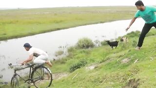Must Watch Very Special Funny Videos 2022 New amazing comedy video episode 72