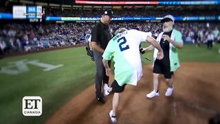 Bryan Cranston Ejected From Celebrity Softball Game
