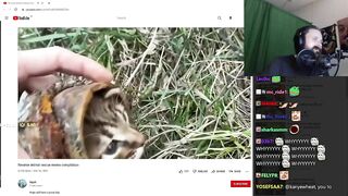 Forsen Reacts to Reverse animal rescue meme compilation