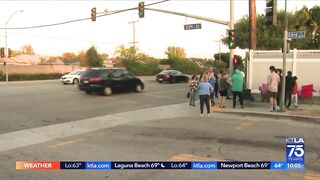 Driver arrested after fatally striking 7-year-old boy in Long Beach crosswalk