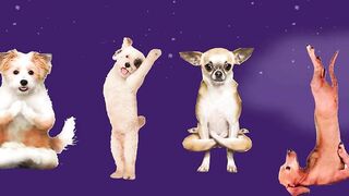My Name is Yoga Cute Dogs - Parody L Billions
