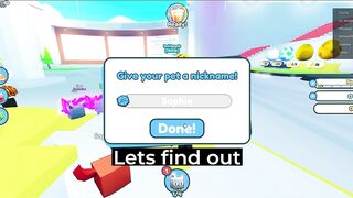 How to get PARTY CAT FREE GIFTS - Pet Simulator X Roblox