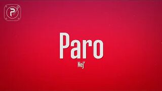 NEJ' - Paro (Lyrics) (tiktok version)
