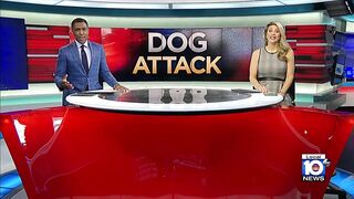 Miami Beach dog attack has woman furious, wants owner to take responsibility