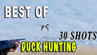 30 Tirs Best Of Canard Compilation