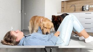 Sleeping in My Dogs' New Bed | Funny Dog Reaction