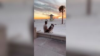 I Took My Talking Husky to the Beach & THIS HAPPENED!