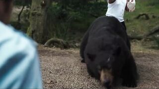 Cocaine Bear | Official Trailer