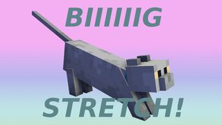 Adorable Cat Stretching in Minecraft! | Minecraft Animation