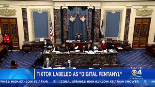 TikTok Called "Digital Fentanyl" By Chairman Of House Select Committee On China