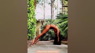 Cobra Pose Dance Flow (Bhujangasana) #yoga #yogapose #flexibility