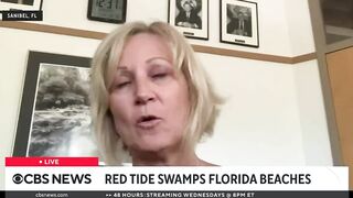 Red tide and massive seaweed blob threaten Florida beaches