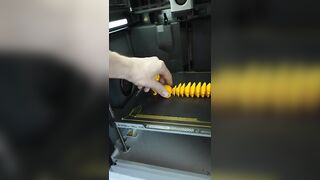 3D Printing a Flexible Squirrel
