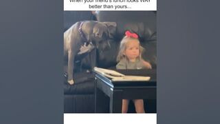 Funny Dog Desperately Wants Apple From Little Girl!