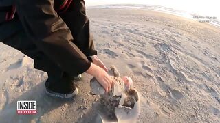 Why Are Creepy Dolls Washing up on the Beach?