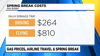 Rising fuel prices could impact future travel plans