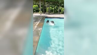 Funny Pup Annoyed By Swimming Brother!