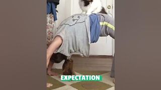 Hilarious Cat Crashes Pet Parent's Yoga Session!