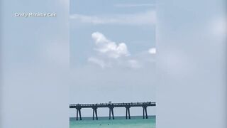 WATCH: Shark seen moving past swimmers at beach in Florida
