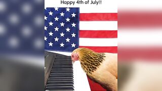 Funny Chicken Plays "Star Spangled Banner" on Piano!