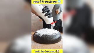 गजब का chemical ???? ~ this is impossible ???? #shorts #ytshorts #viral #tiktok #facts #youtubeshorts