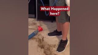 Carpet Cleaning in Columbus, Georgia #stains #columbusga #carpetcleaning #100 #funny #instagram