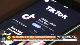 TikTok unveils new measures ahead of EU Digital Services Act | WION World DNA