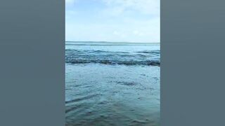 Beautiful Beach ASMR | Relaxing Ocean Wave Sounds