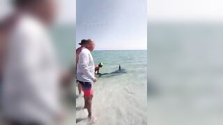 Mako shark pulled back into the water at a Florida beach