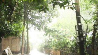 The Rain || Forest || Local || Water Fall|| Meditation || Plants || Nature || Yoga || Animals || God