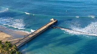 Darkened Sandy Beach Park welcomes honu hatchlings and Native seabirds