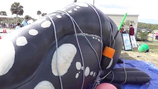 Thousands gather at the Right Whale Festival in Fernandina Beach