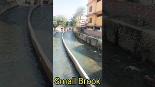 Small Brook | #shivapokharel #trending #nepal #viral #yoga #nature #brook #shorts