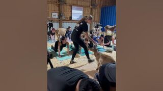 Goat Yoga Experience at Grady Goat Farm