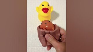 squishy and stretching squirrel???? #viral #funandfidgety #stretching #squishy #popular #fidget#ytshort