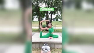 Yoga with Bella / Pigeon Pose #shortsyoutube #yoga