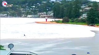 Beach in Sydney flooded by high tide | Natural Disaster 2022